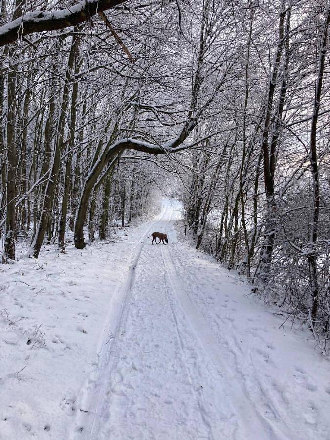 Gîte pour 6 personnes, avec vue à Laubach (Hesse)