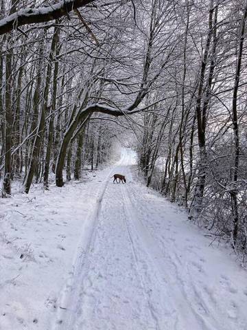Gîte pour 6 personnes, avec vue à Laubach (Hesse)