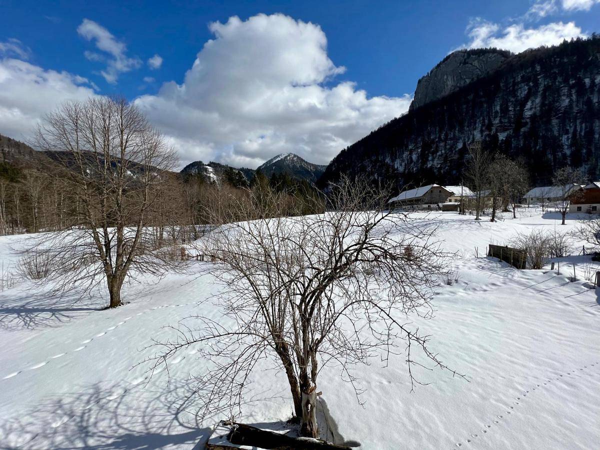 Large house with big garden in Salzkammergut-Berge, Hintersee (Salzburger Land)