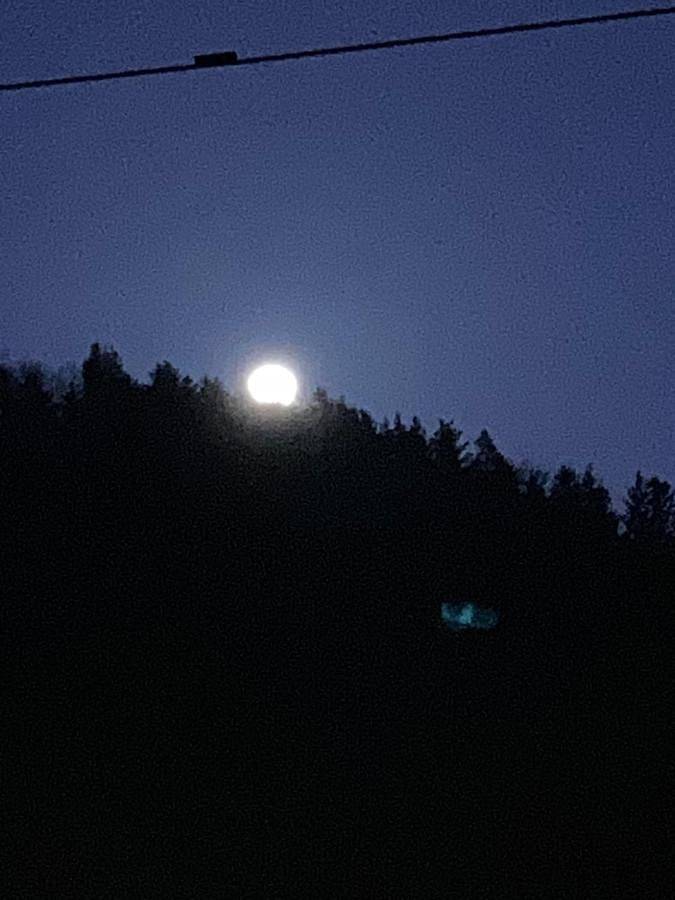 Chambre d’hôte pour 2 personnes, avec jardin à Triberg - 4