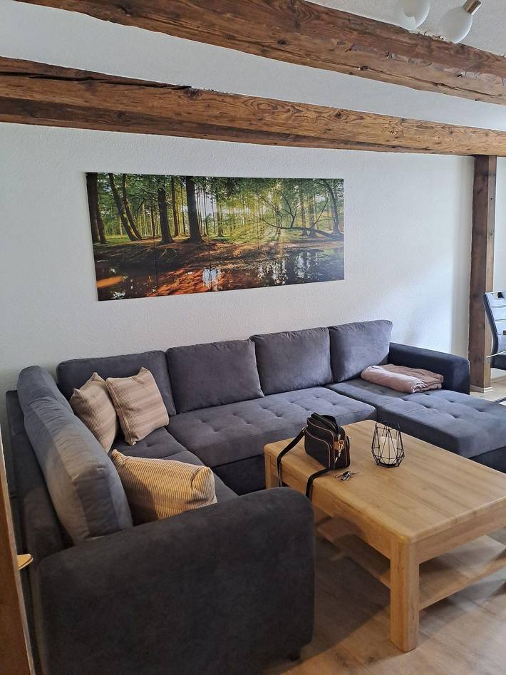 Ferienwohnung für 6 Personen, mit Terrasse in Wernigerode (Stadt) - 4