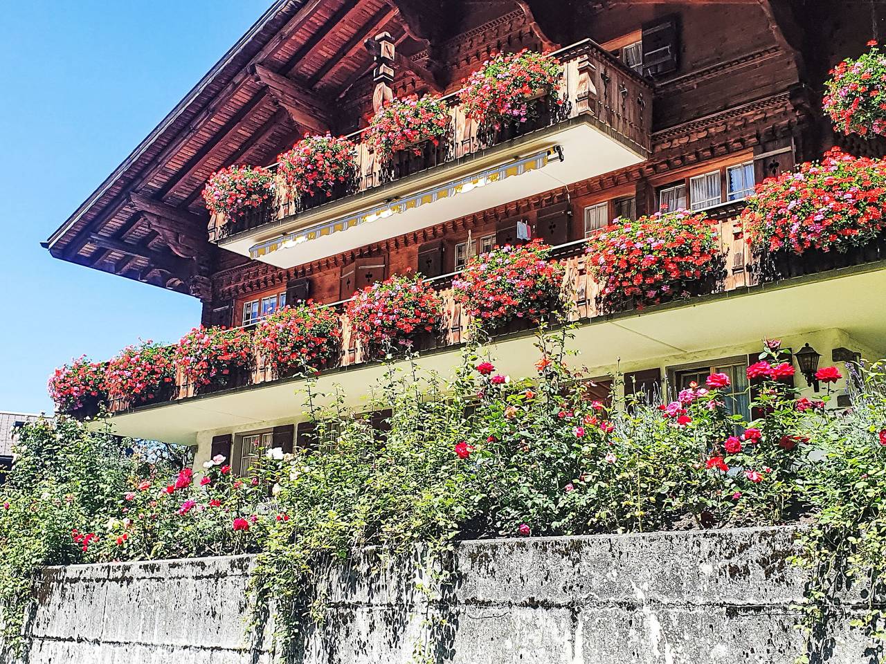 Appartement entier, Chessibach Studio in Schwendi b. Grindelwald, Grindelwald