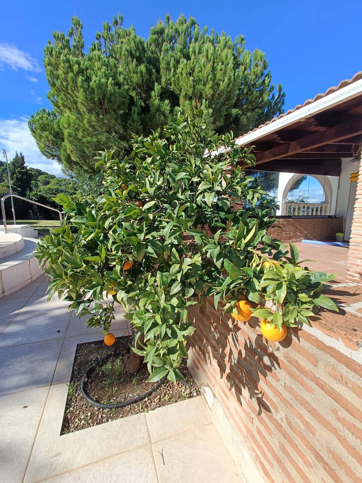 Villa Andalucia in Pinos de Alhaurín, Alhaurín de la Torre
