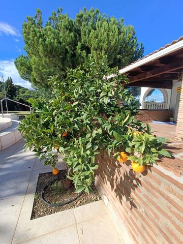 Villa for 10 People in Alhaurín de la Torre, Costa del Sol, Photo 3