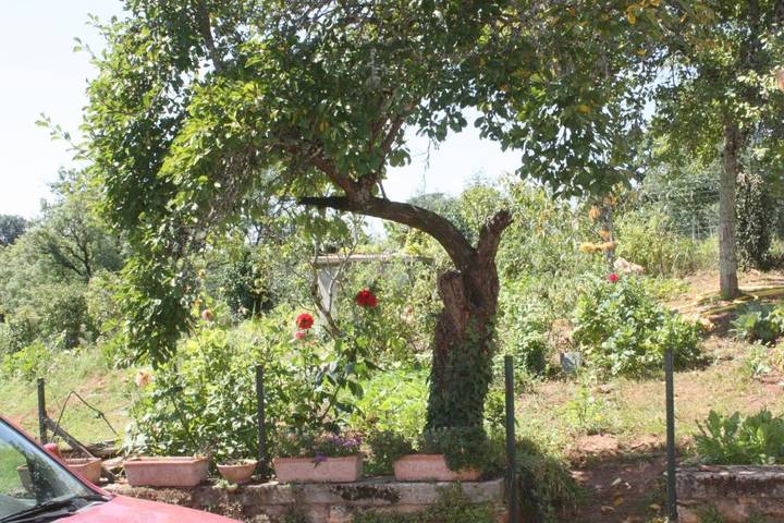 Location de vacances pour 2 personnes, avec jardin et vue, animaux acceptés à Saint-Jory-las-Bloux - 4