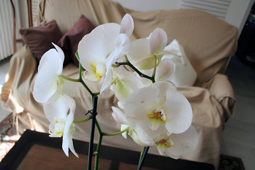 Etape Zen - Chambre Zen in Illiers-Combray, Région de Chartres