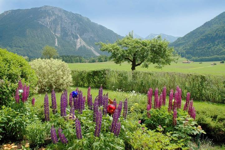 Ferienwohnung für 2 Personen, mit Garten, kinderfreundlich in Ruhpolding - 4