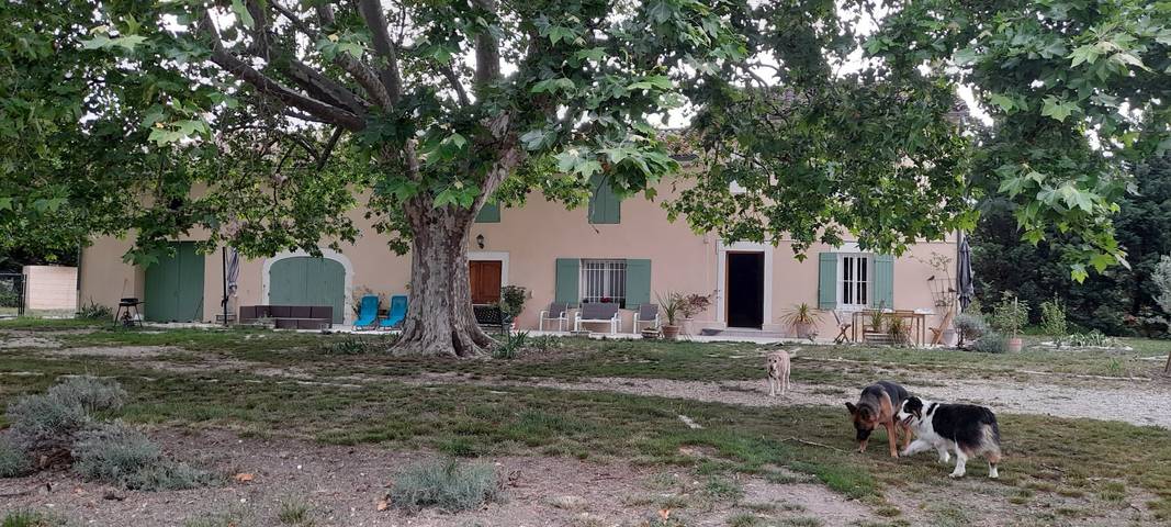 Gîte pour 5 personnes, avec jardin et terrasse à Le Thor - 2