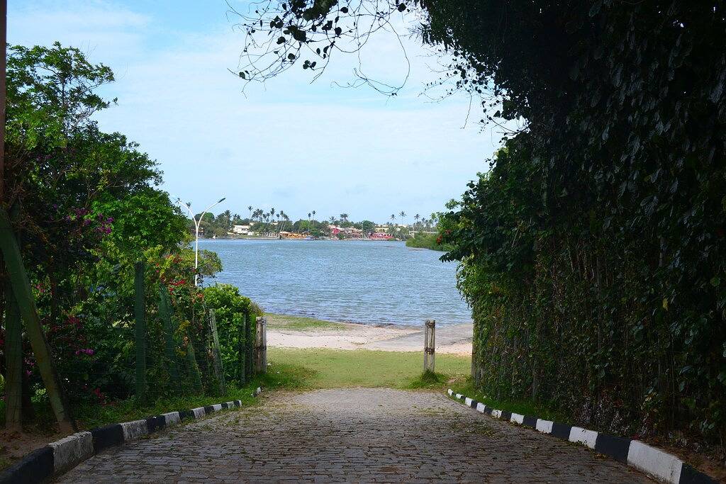 Sítio de 2000m2 com Campo de Futebol, Plantas Frutíferas e a 300m do Rio Jacuípe in Camaçari, Linha Verde