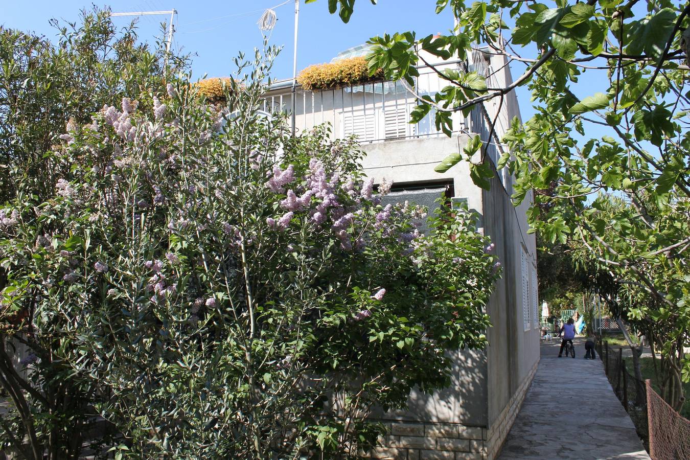 Ganze Wohnung, Studio Appartement am Strand Sukosan, Zadar As-6133-a in Sukosan, Zadar