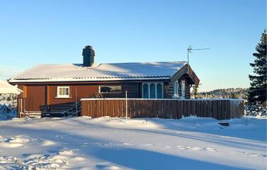 Gîte pour 6 personnes, avec jardin, animaux acceptés dans Sjusjoen