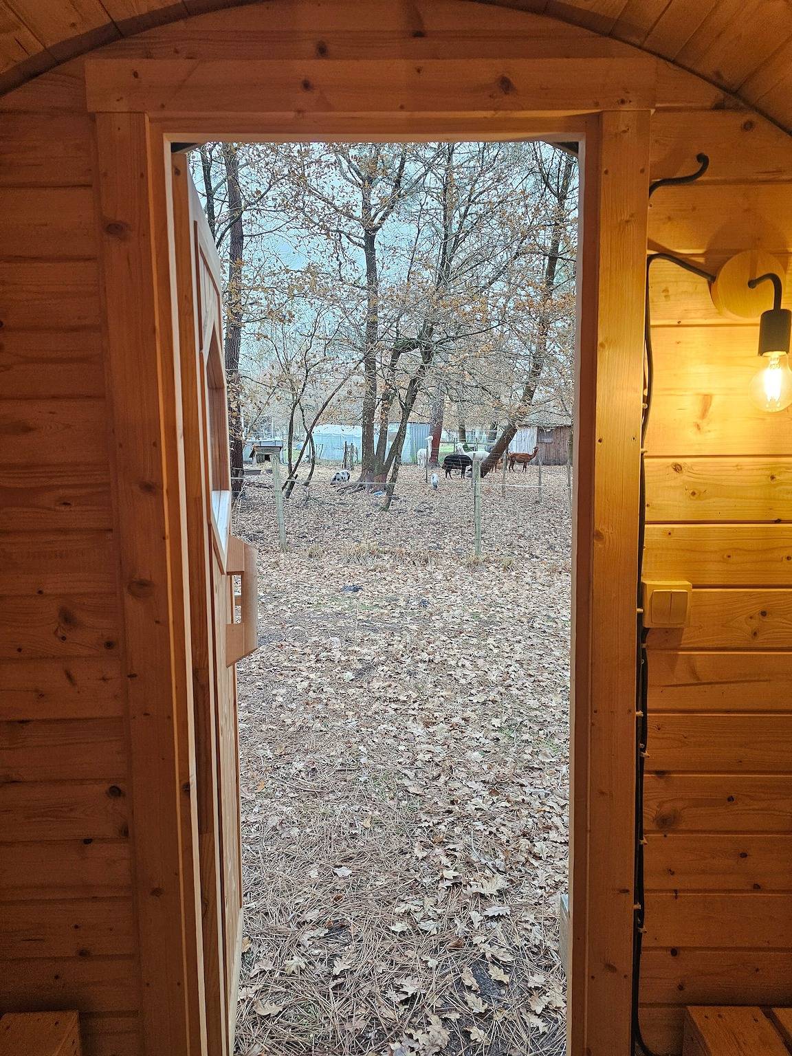 Casa de huéspedes «La Roulotte des Chouchous» con aire acondicionado in Hourtin, Lesparre-Médoc region