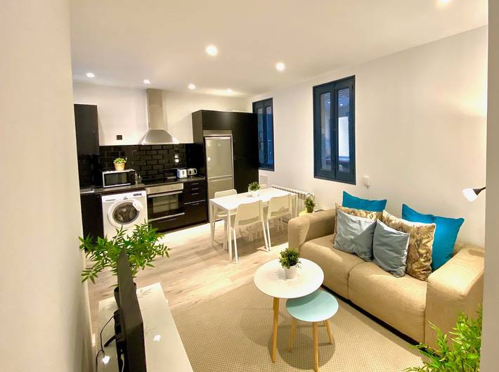 Apartahotel para 4 personas, Se admiten mascotas en Madrid