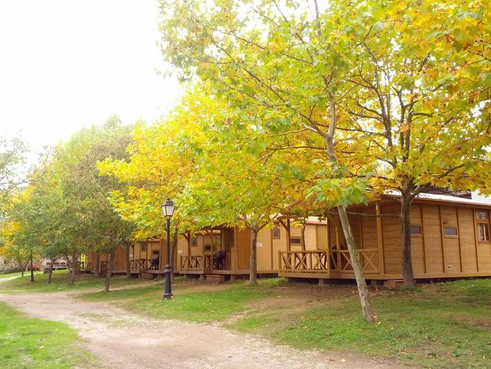 Camping for 4 people, with terrace and garden as well as pool, with pets - 1