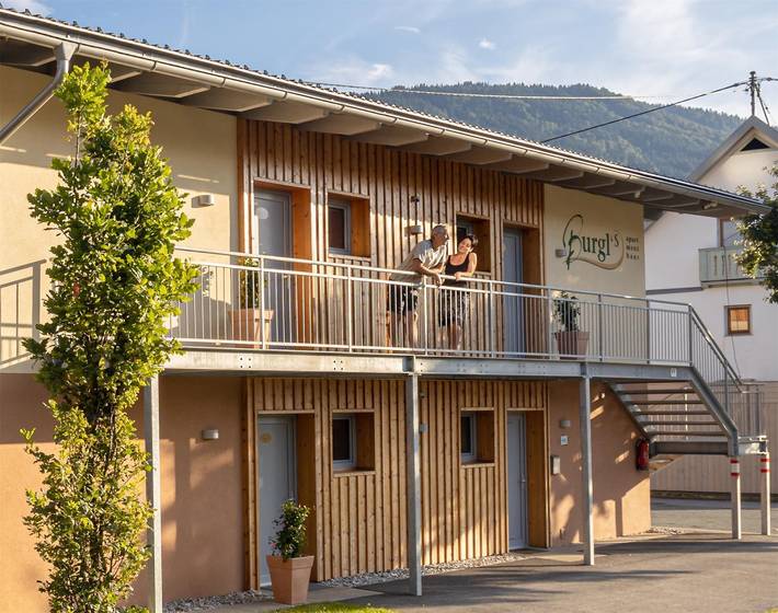 Ganze Ferienwohnung, Apartment 1/1 Schlafraum, Du, Wc in Hermagor-Pressegger See, Bezirk Hermagor