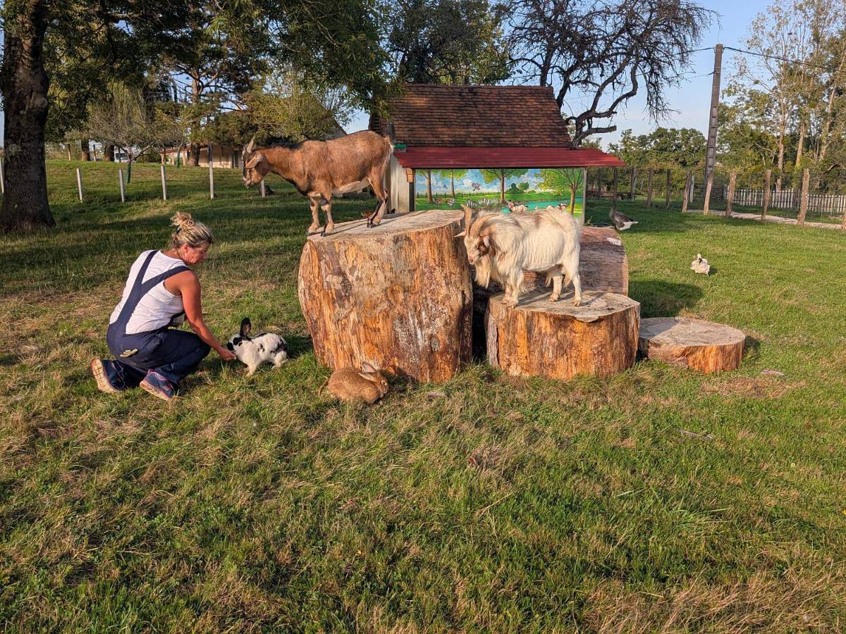 Gite les Caravottes 4 Etoiles avec Jacuzzi - Jura in Courlaoux, Jura