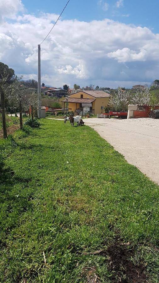 Casa vacanza per 4 persone, con panorama e giardino, adatto a famiglie con bambini in Ariano Irpino