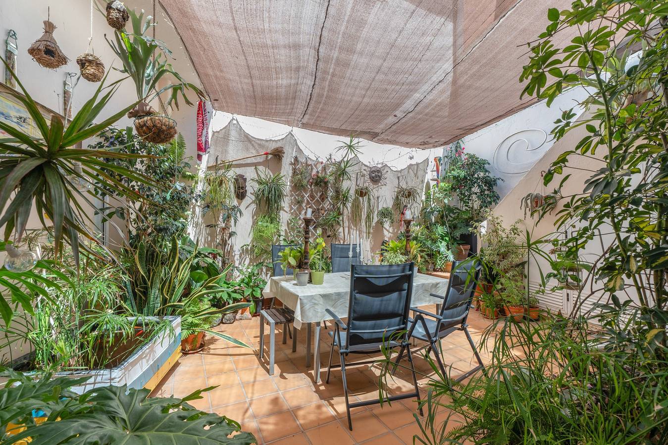 Ganze Wohnung, Ferienwohnung 'Casa Tesalia' mit Meerblick, Wlan und Klimaanlage in Güímar, Teneriffa Süd