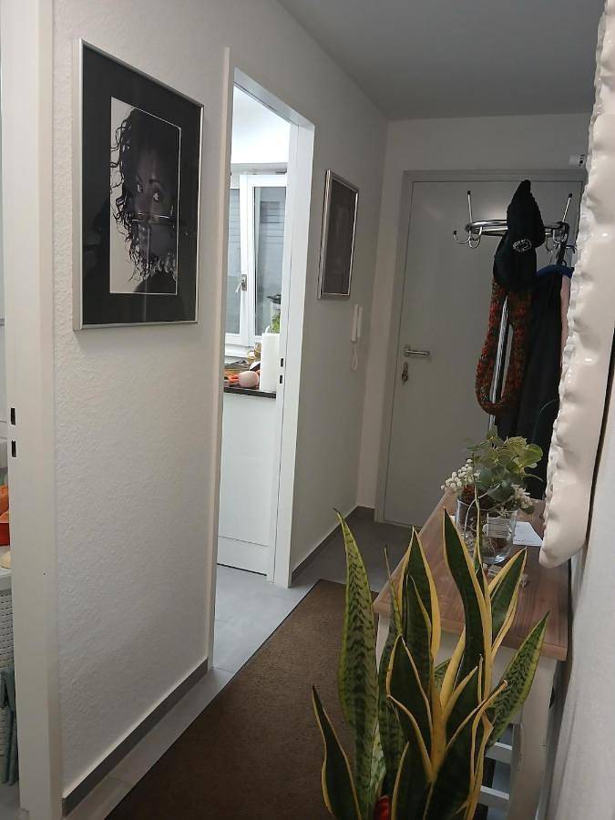 Ganze Wohnung, One-Bedroom Apartment in Riehen, Region Basel RDK