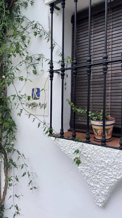 Gîte pour 3 personnes, avec jacuzzi à Grazalema - 3