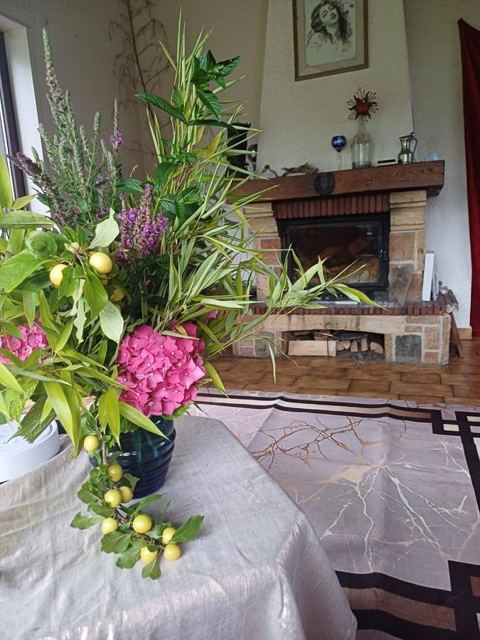 Location de vacances pour 4 personnes, avec jardin et vue, animaux acceptés à Port-Valais