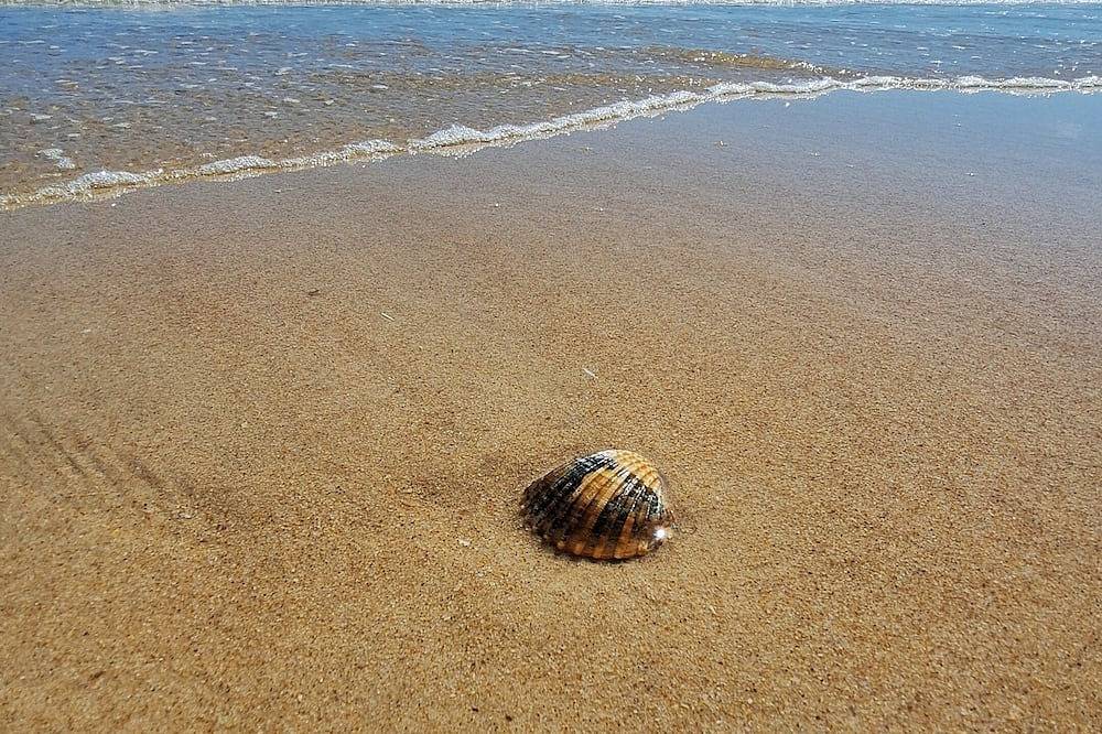 Appartamento vacanze a Ayamonte a partire da 50€ a notte
