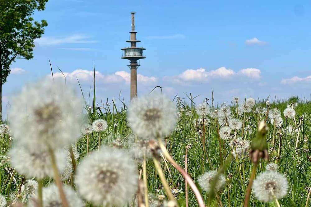 Ganze Wohnung, Eifelauszeit - Auszeit ist Eifelzeit / bis zu 4 Personen + Kind(er) + Vierbeiner in Hürtgenwald, Rureifel (Nordrhein-westfalen)