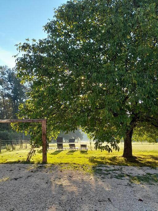 Location de vacances pour 8 personnes, avec jardin ainsi que terrasse et piscine, animaux acceptés à Masclat - 2