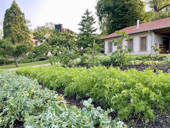 Chambre d’hôte pour 3 personnes, avec vue ainsi que jardin et vue sur le lac, adapté aux familles dans Sarreguemines - 4