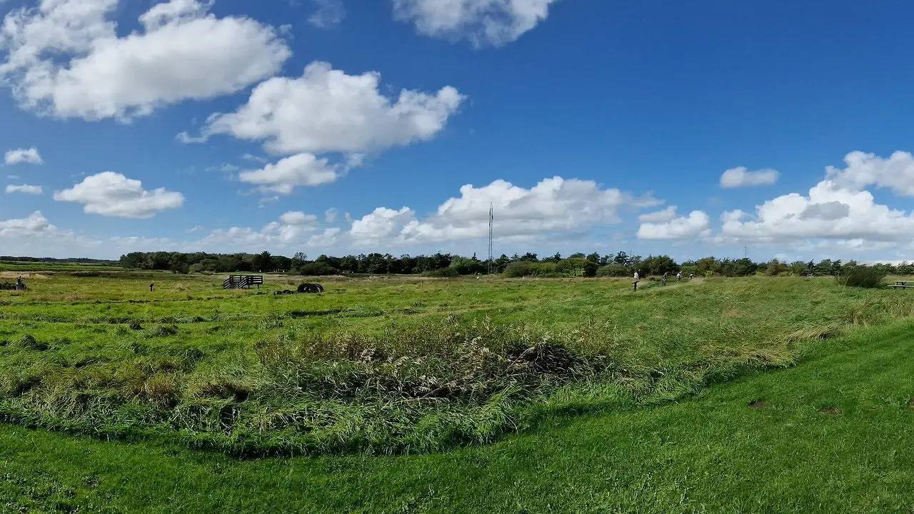 Ferienhaus für 8 Personen (124 m²) in Oksbøl in Jegum, Jegum Ferieland
