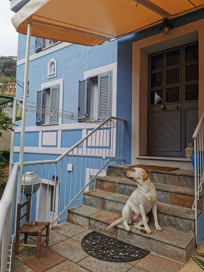Itaca in Varazze (City), Varazze