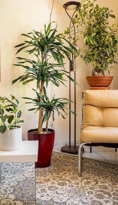 Ferienwohnung für 5 Personen, mit Balkon und Terrasse sowie Garten und Ausblick in Rödermark