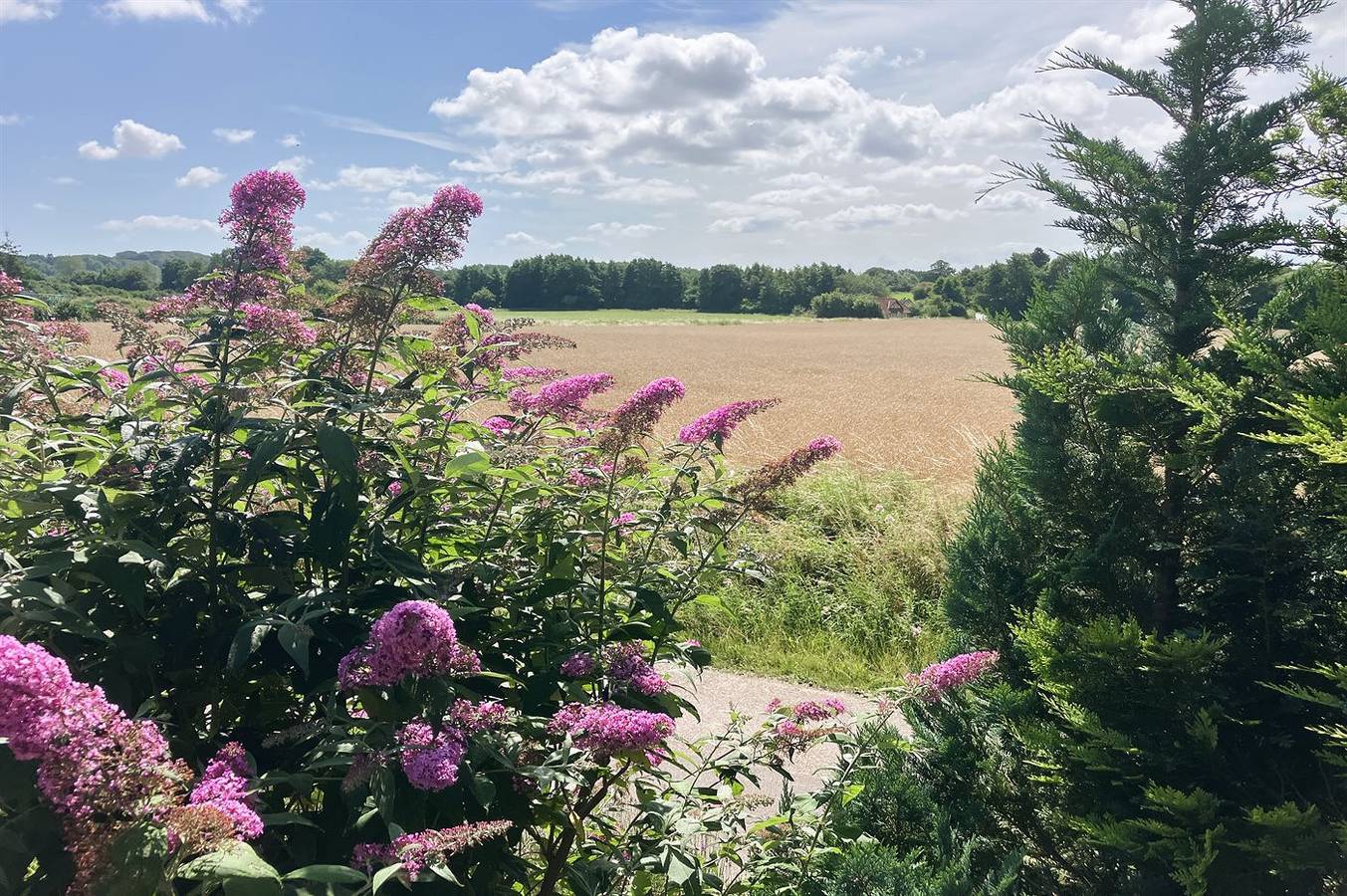 Pet friendly home in Faaborg with Wifi in Fåborg, Kleiner Belt