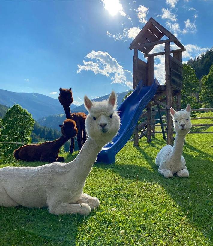 Landhaus für 2 Personen, mit Garten und Ausblick sowie Terrasse in Ramsau am Dachstein - 2