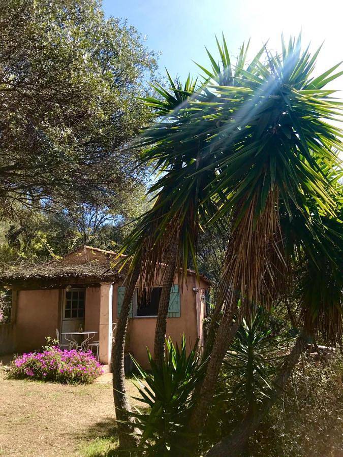 Location de vacances pour 4 personnes, avec vue ainsi que jardin et piscine à Serriera - 2
