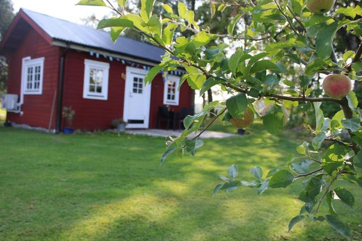 Ferienhaus für 5 Personen, mit Sauna und Garten sowie Ausblick, mit Haustier in Gullspang - 2
