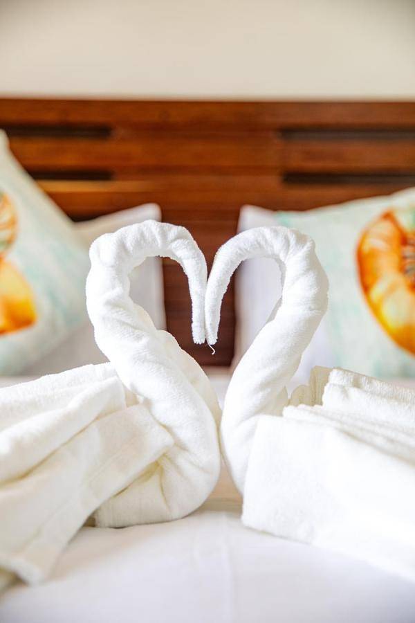 Chambre d’hôte pour 2 personnes, avec vue et jardin dans Dhiffushi - 2