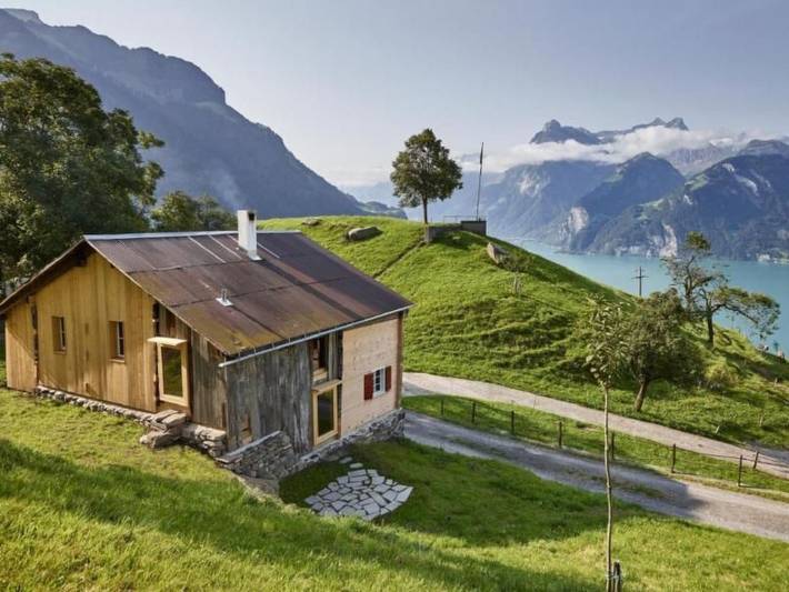 Tannen in Morschach, Vierwaldstättersee