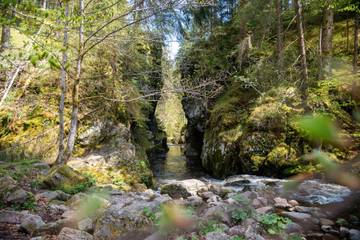 Hütte für 2 Personen in Suedlicher Schwarzwald, Hinterzarten, Bild 1