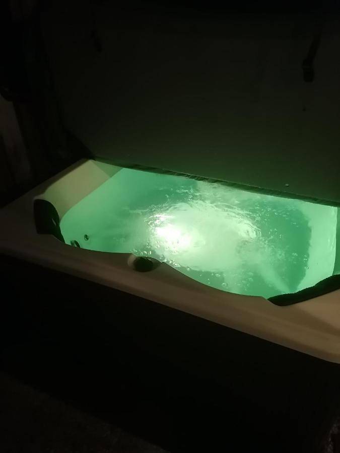 Gîte pour 4 personnes, avec jacuzzi ainsi que sauna et jardin dans Boskoop