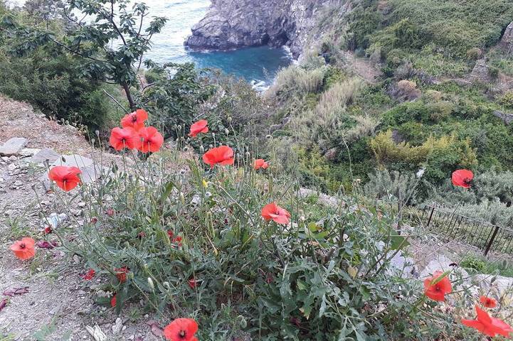 Ganze Wohnung, Auf dem Weg zum Marina Apartment mit tollem Meerblick in Corniglia, Vernazza Gemeinde