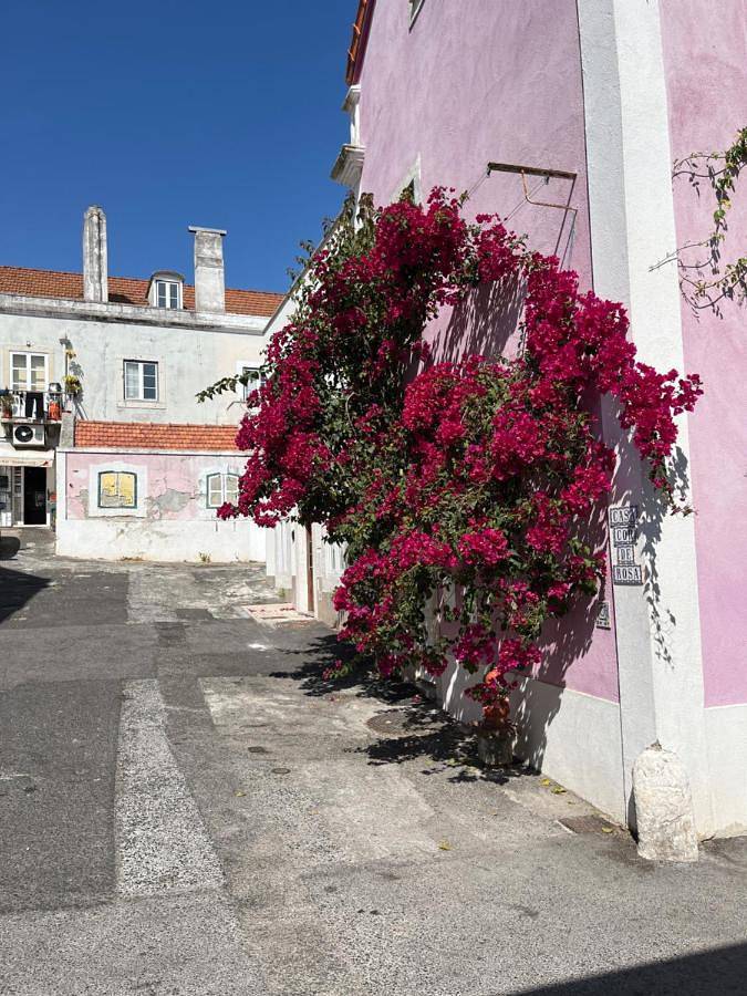 Apartamento inteiro, Casa Cor de Rosa in Lisboa, Costa de Lisboa