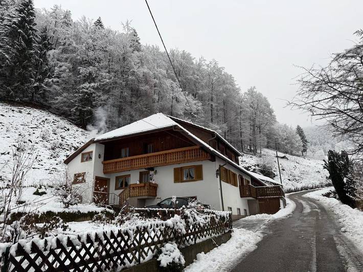Location de vacances pour 5 personnes, avec jardin ainsi que vue et terrasse, animaux acceptés à Münstertal - 2