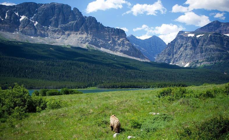 Chalet for 6 people, with yard in Glacier National Park