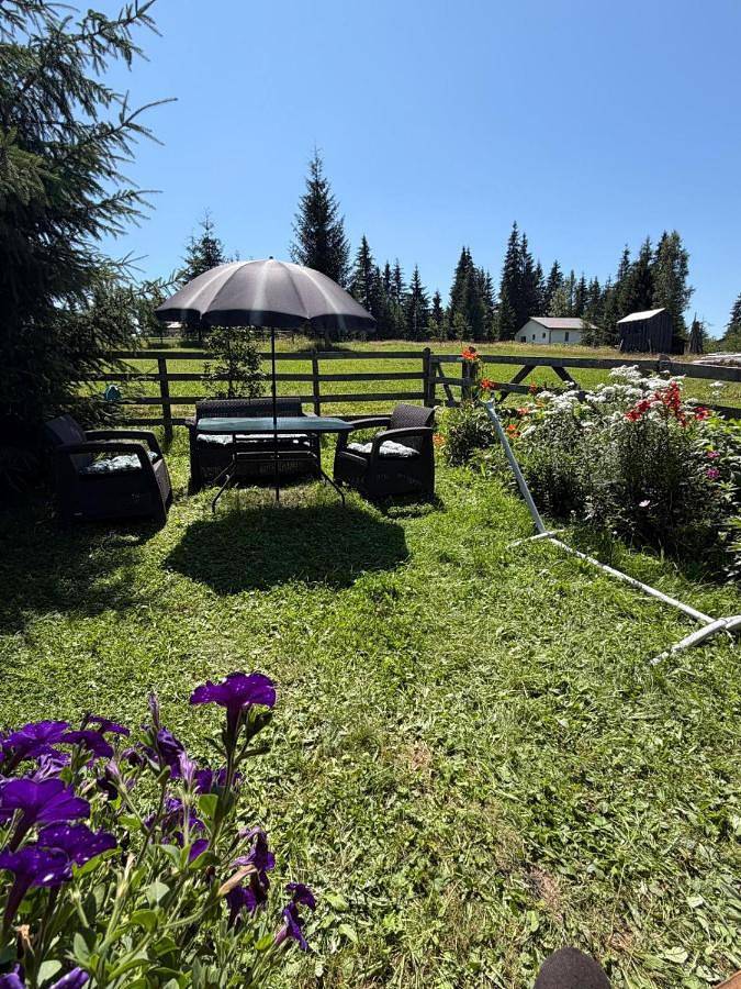 Location de vacances pour 4 personnes, avec Terrasse ainsi que Jardin et Vue dans Dorna-Arini - 3