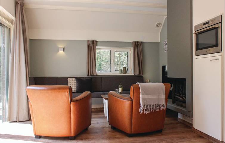Ferienhaus für 6 Personen, mit Terrasse und Sauna sowie Garten, mit Haustier in Ommen - 4