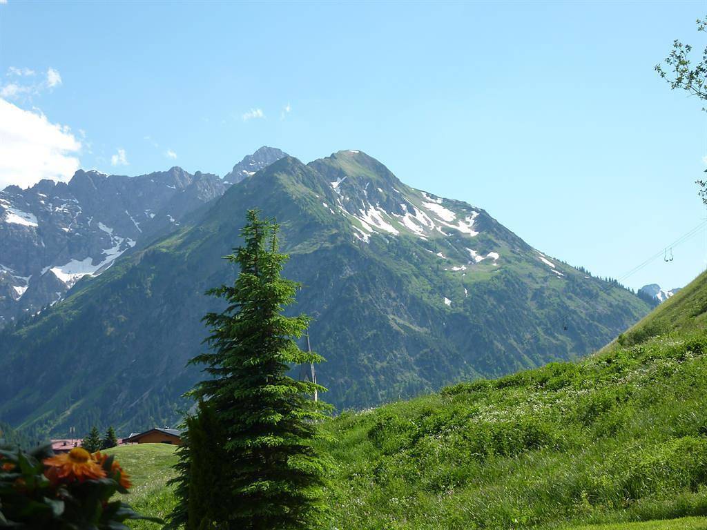 Apartment - Wohn-Schlafraum mit Dusche/Wc  "10" in Mittelberg, Kleinwalsertal