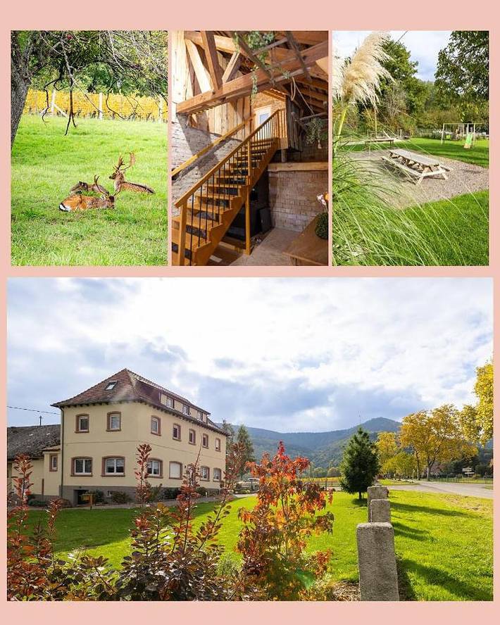 Location de vacances pour 2 personnes, avec jardin et vue, animaux acceptés à Bernardswiller - 4