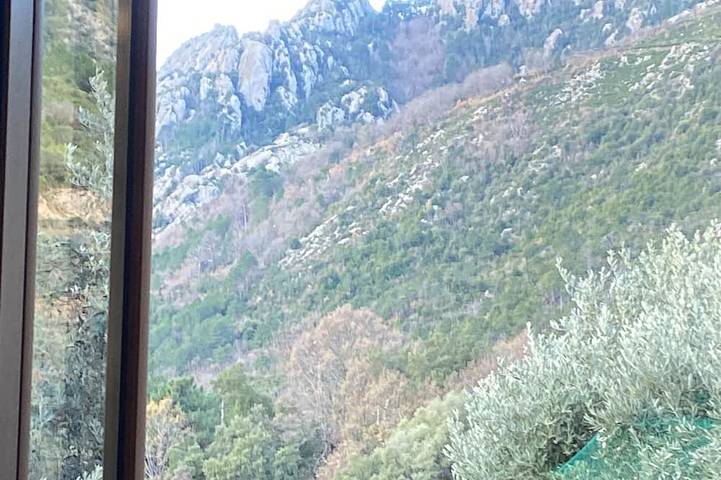 Chambre d’hôte pour 3 personnes, avec Piscine à Venaco