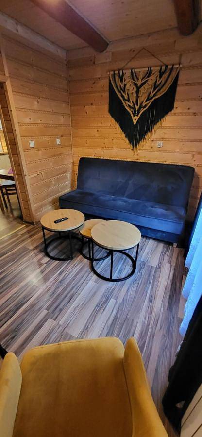 Cały apartament, Apartment - Ground Floor in Biały Dunajec, Karpaty (Polska)